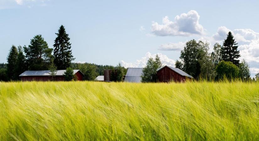 Ezért érdemes most tanyán élni – akár 25 millió Ft-os támogatás is járhat! - Agroinform