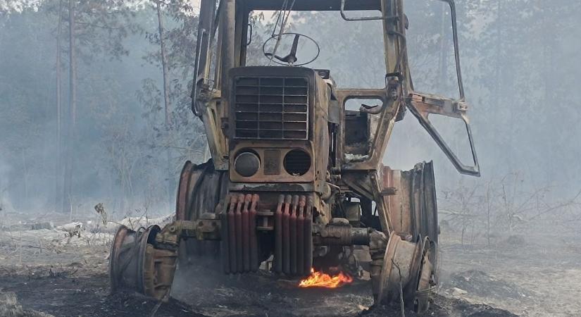 Most különösen nagy veszélyben vagy, ha nem figyelsz - délmagyar