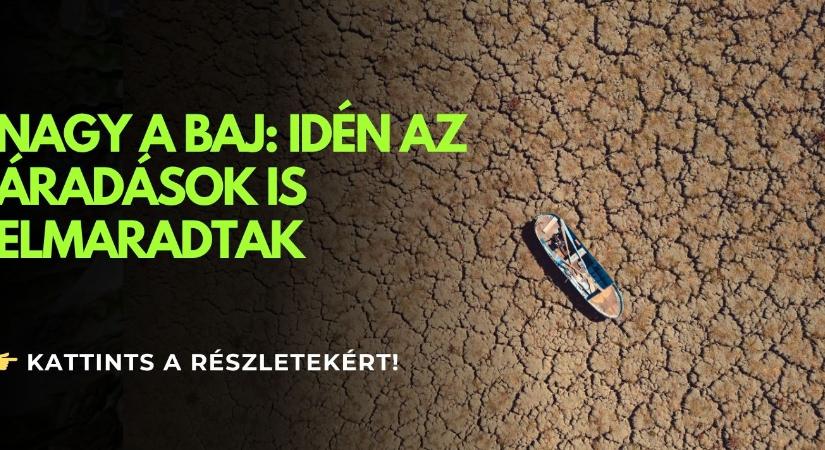 Hitted volna, hogy egyszer visszasírjuk az árhullámokat? - Agroinform