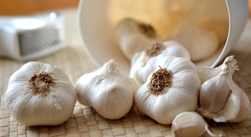 Jelentős kínai fokhagymatermés, de az európai árak ettől még nem esnek vissza - Agrotrend