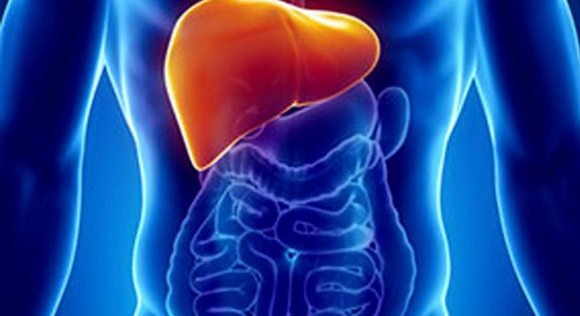Hepatitis A: csökken a megbetegedések száma, de még nem múlt el a veszély - Debreceni Nap