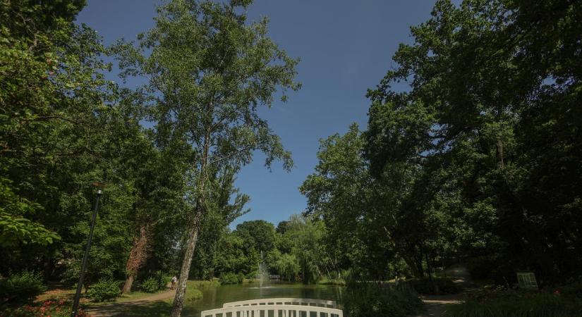 Megtaláltuk Tatabánya gyöngyszemét: A Liget park olyan, mint a mesékben fotók - Kemma