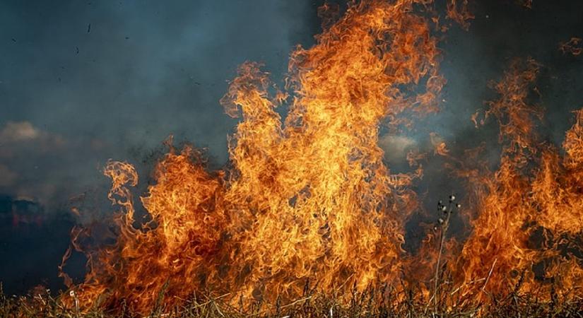 Tűzvész tombol a horvát tengerparton – megállíthatatlanul terjed a kedvenc üdülőhely felé - Napi.hu