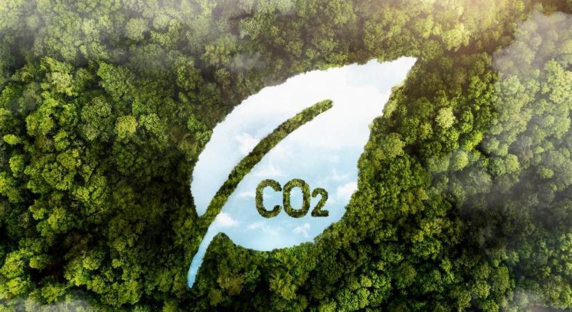Sikeresen zárult a „Passzold vissza, Tesó!” 2025-ös tavaszi kampánya! - Trademagazin