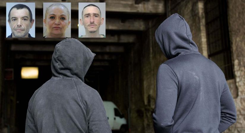 Győr legújabb drogtriója nem viccel, kőkemény, amivel bizniszelnek fotók - Kisalföld