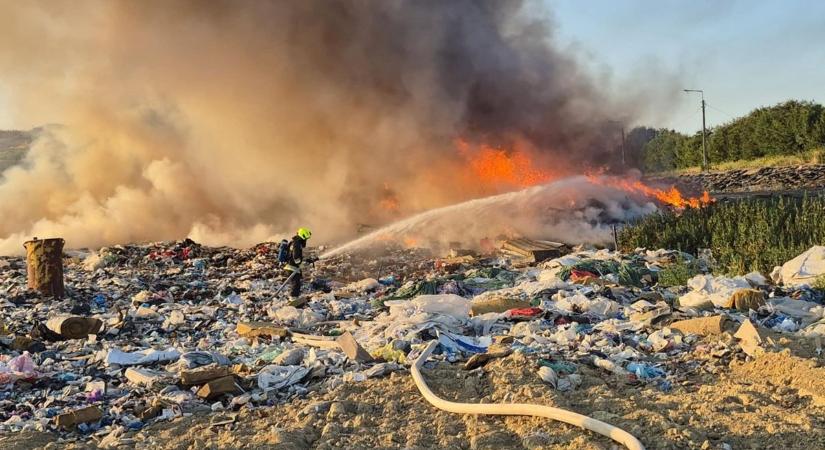 Több város tűzoltói együtt küzdöttek a hatalmas lángokkal (galéria) - Teol