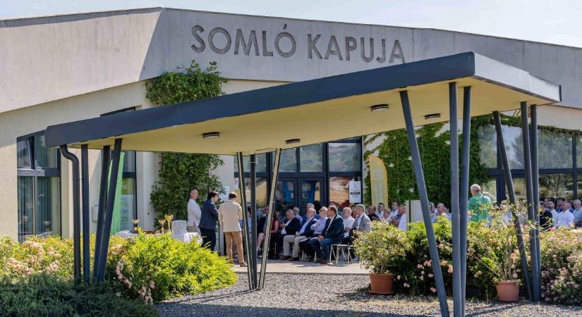 Támogatást kap a magyar borászat - Az Üzlet