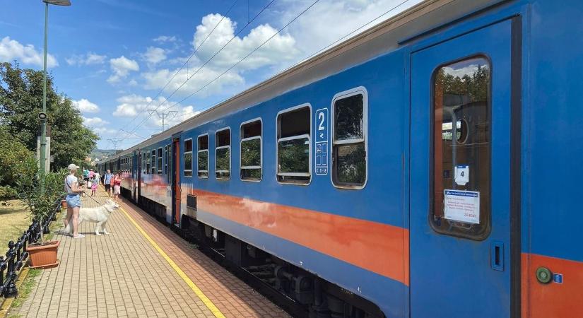 Utazók, figyelem! Nagy újítás jön a MÁV-nál - délmagyar