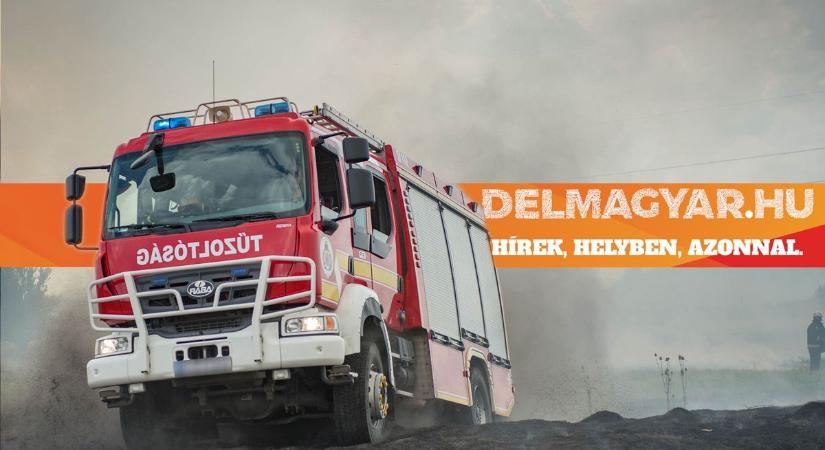 Több település tűzoltóinak összehangolt akciója okozta a győzelmet a lángok felett - délmagyar