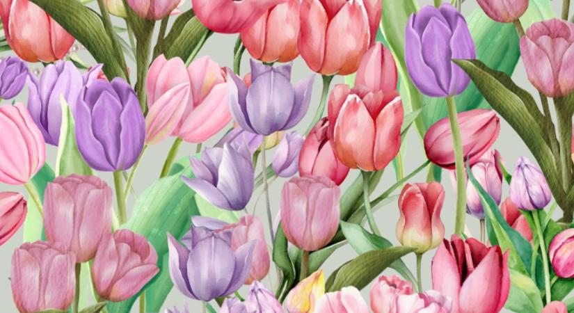 Fejtörő: a tulipánok szem előtt vannak, de csak az valódi lángelmék veszik észre a gyöngyös nyakláncot is - Elle