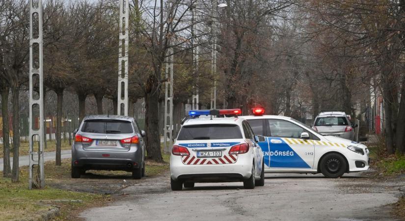 Tragédia Kalocsán: autó ütött el egy kétéves gyermeket, nem tudták megmenteni - Mandiner