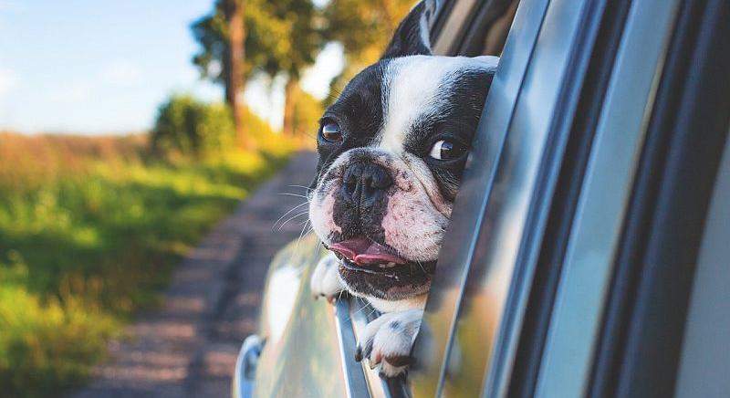 Így lesz biztonságos a családi nyaralás! - autopro