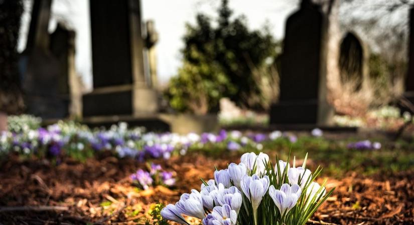 Sokak markát ütheti komoly vagyon! Megdöbbentő tények az öröklésről - Boon