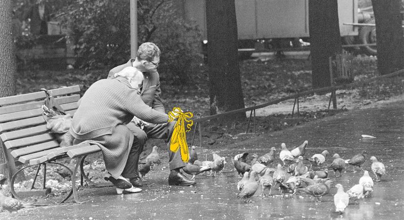 Szentpáli Gavallér Zsuzsa: Kenyérmorzsák - Népszava