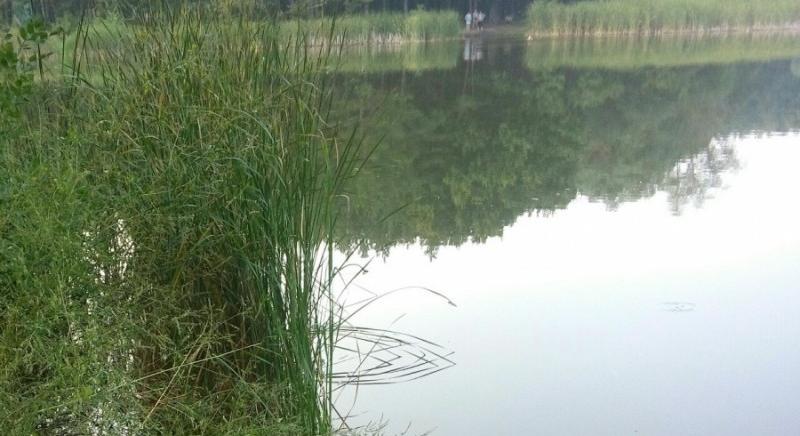 Egy huszti járásbeli férfi holttestét találták meg egy mesterséges tóban - Karpat.in.ua
