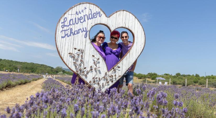 Lila ruhában, mosollyal érkeztek – családi álom valósult meg a tihanyi levendulamezőn (galéria) - Veol