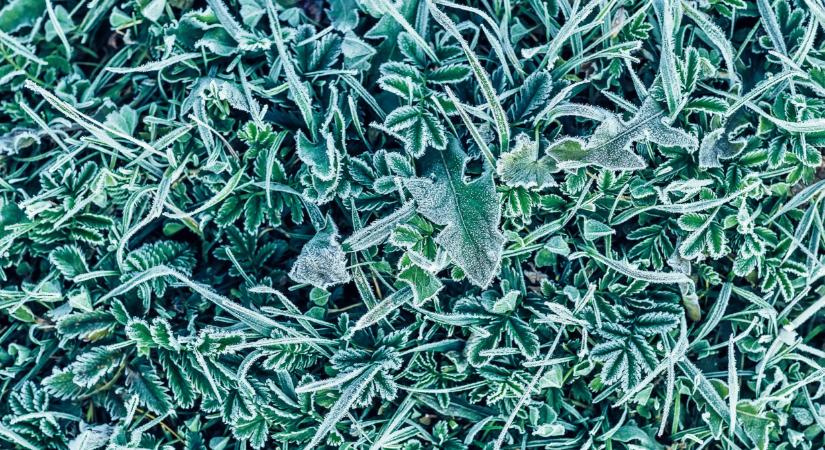 Betört a hideg Magyarországra: itt kemény mínuszt mértek - Agrárszektor