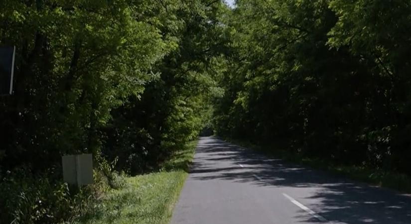 Borzasztó felfedezést tettek a zsaruk a szabolcsi falu határában! (videó) - Szon