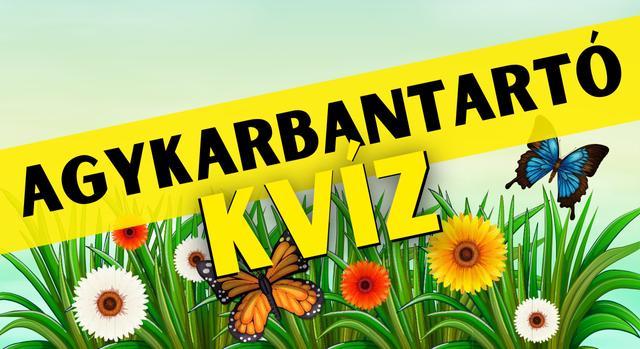 Napi agykarbantartó: Fejleszd az elméd! - Keresztlabda