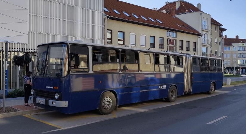 Retro busz száguldott a kertváros felé a Múzeumok Éjszakáján (galéria, videó) - Zaol