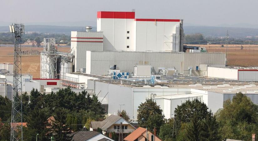 Sikeresen végeztek az első duális szakképzésben résztvevő diákok a Nestlé Hungária szerencsi oktatóközpontjában - Boon