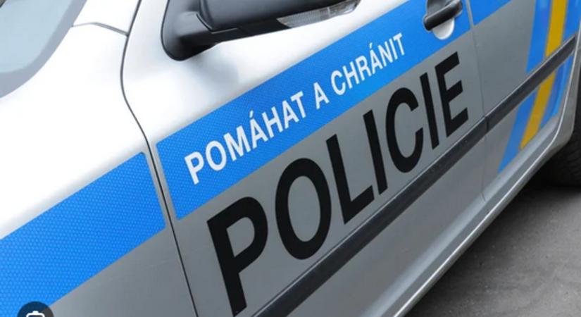 Letartóztattak egy 18 éves férfit Csehországban, miután egy náci tisztelgésről készült fotót posztolt egy chat-csoportban - Karpat.in.ua