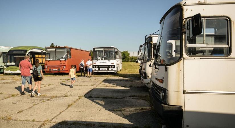 Idén is megnyíltak a hatvani Volánbusz-telephely kapui  galéria - Heol