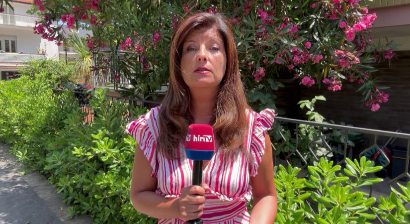 Migránsok és baloldali pártok szimpatizánsai vonultak utcára az olasz fővárosban  videó - HírTV