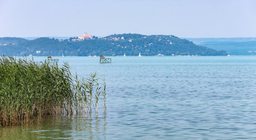 Ijesztő, ami a Balatonnal történik: kritikus állapotok uralkodnak a tónál - Agrárszektor