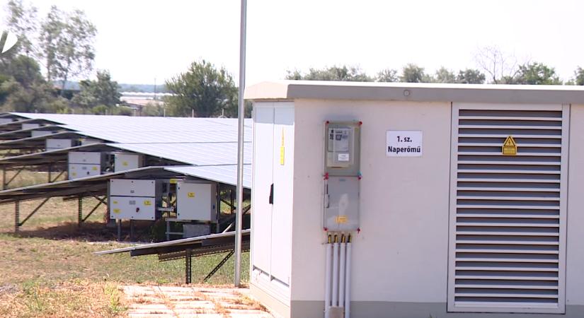 Hatalmas napelempark épül Algyőn - Hódpress