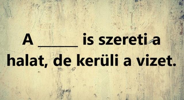 Napi közmondás feladat: Ki tudod egészíteni? - Keresztlabda