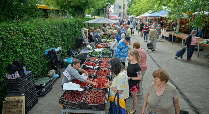 Egyre kevesebb gyümölcs terem, a lekvárfőzés lassan csak emlék marad - délmagyar