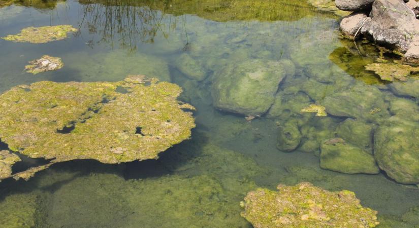 Az űrből is látni, ahogy kettészakadt a Balaton - Kemma