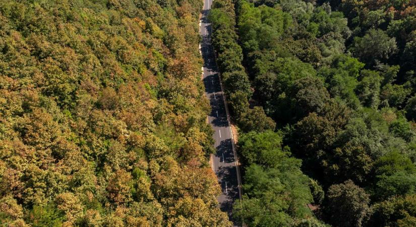 Tolna vármegyei ötszámjegyű út felújításán dolgozik a Soltút - Magyar Építők