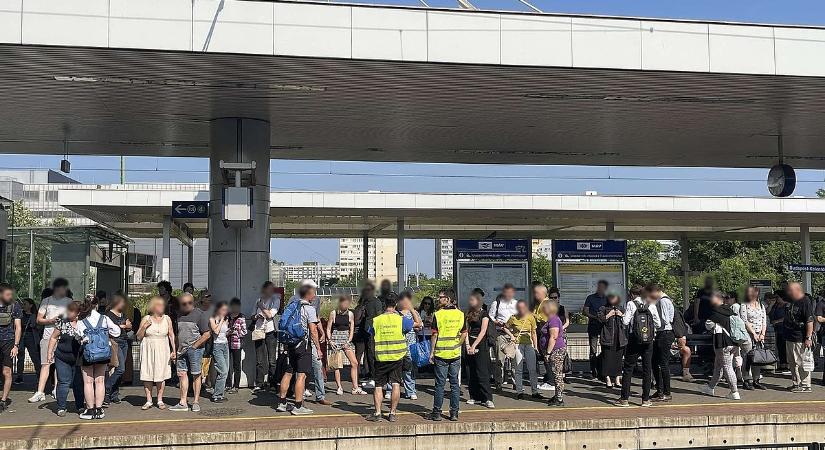 A MÁV ismét próbára teszi az utasokat: menetrendkáosz készül a forgalmas vonalon - Napi.hu