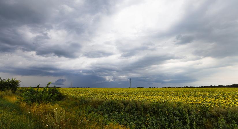 Jön a vihar, kemény jégeső csaphat le ránk: mutatjuk, hol lesz a legdurvább - Agrárszektor