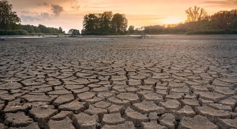 Az aszály elviszi a gazdasági növekedést is? - Agroinform