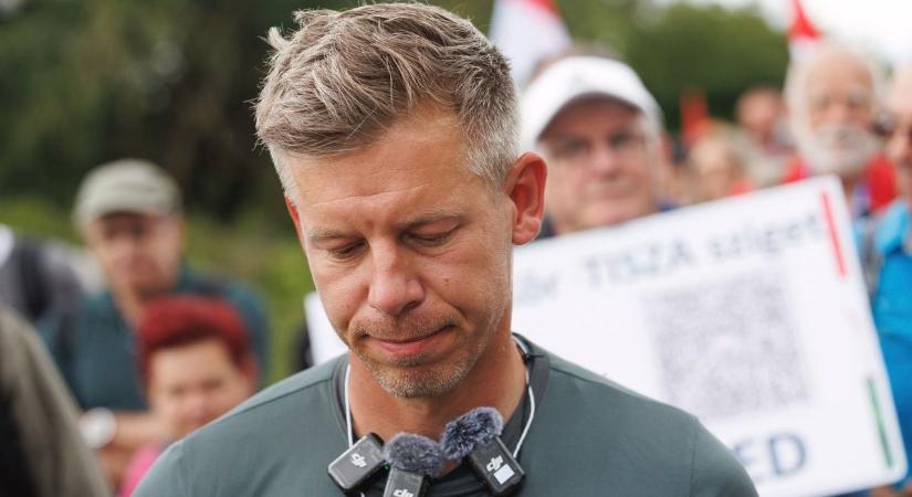 A Tisza Párt aktivistái kamuprofilokat használhatnak a közösségi médiában - Szoljon