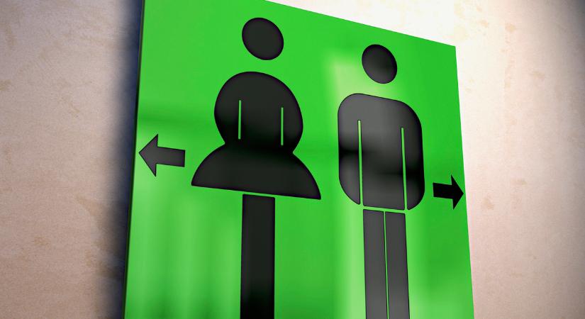 Őrület! Sorszámmal és kóddal működik egy MÁV-vécé - Nlc