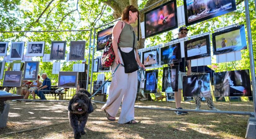 Tizennégy galériában a hétvége legjobb pillanatai Győr-Moson-Sopronból - Kisalföld