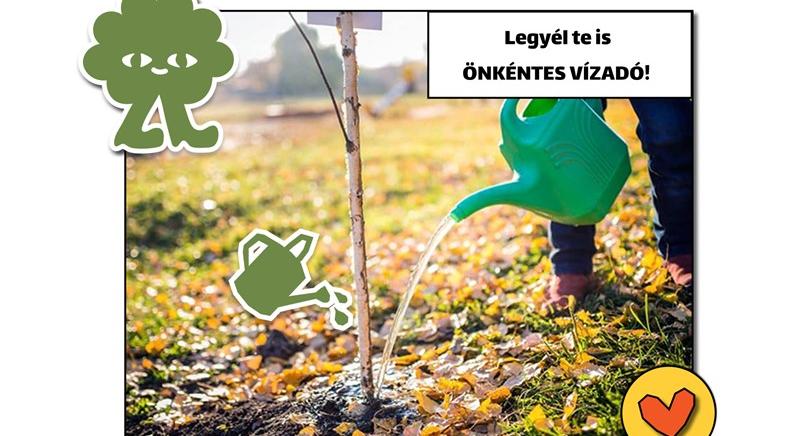 Önkéntes vízadókat várnak Budapest fáinak megmentéséért - Ittlakunk