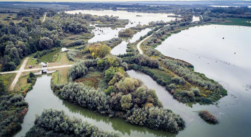 Markáns válasz az elsivatagosodásra - sokszorosára növelnék az ország víz visszatartását - Magyar Építők