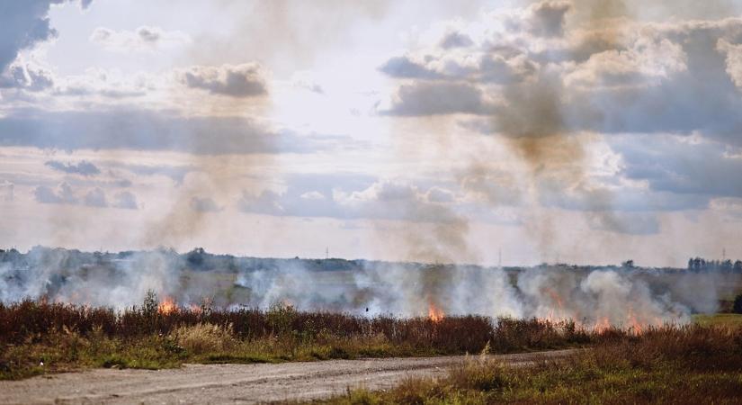 Lábon álló gabona, kaszált fű és kombájn is égett a hétvégén - Agroinform