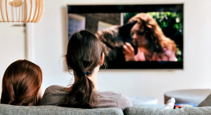 Unalom kizárva: Rajzfilmcunamival készül a Kölyökklub a nyárra – íme, mire számíthatsz - közbeszéd.hu