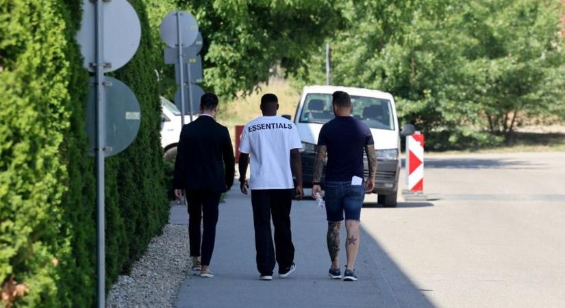 Egy titokzatos ,,idegen" bukkant fel Diósgyőrben - Boon