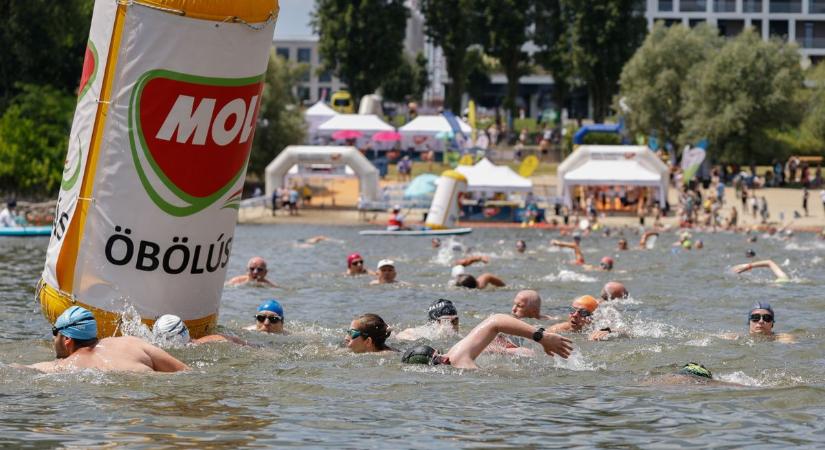 Részvételi rekordot döntött a 3. MOL Campus Öbölúszás - Szoljon