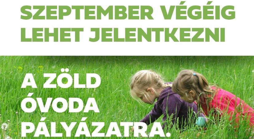 Zöld Óvoda pályázat 2025 – környezeti nevelés és fenntarthatóság az óvodákban - Veol