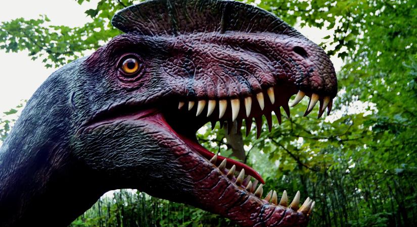 A dinoszauruszok titánjairól lesz előadás a Tornyaiban - Hódpress