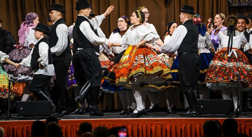 Programajánló – a Sárközi Lakodalomra figyel az egész ország! - Teol