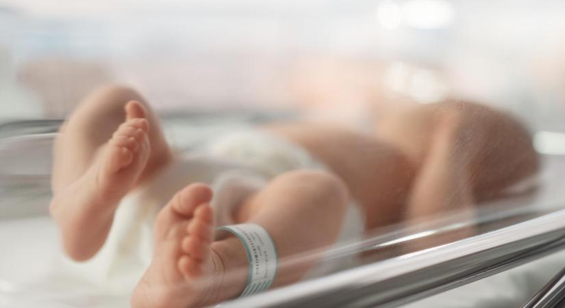 Nem működik a babamentő inkubátor a János kórházban - Népszava